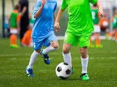 澳超焦点战,惠灵顿凤凰,主场归来,立博体育官网,立博体育直播,体育赛事直播,足球直播